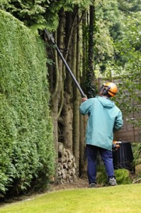 pole hedge trimmer for tall hedges